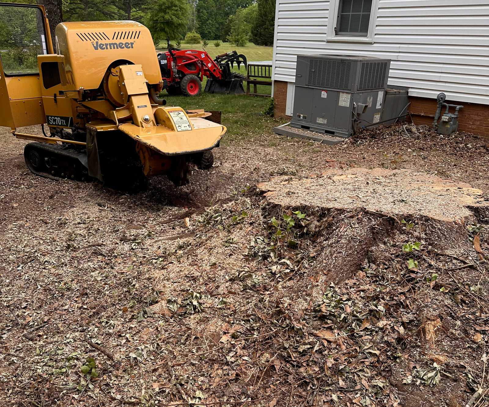 Residential stump before grinding — Gaston County, NC area